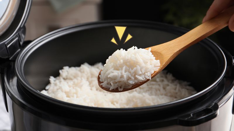 https://www.freedomsiana.id/arti-cook-dan-warm-di-rice-cooker/ terbaru