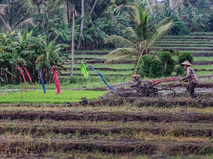 Hambatan pengembangan agrikultur di Indonesia