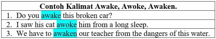 https://www.khoiri.com/2022/03/awake-awoke-awaken-contoh-kalimat.html