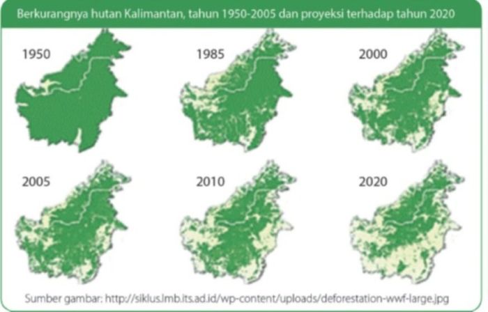 bandingkan kenampakan hutan pada tahun 1950 dan 2010 terbaru