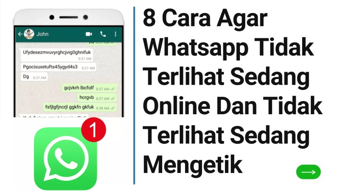 cara agar whatsapp tidak terlihat online dan mengetik terbaru