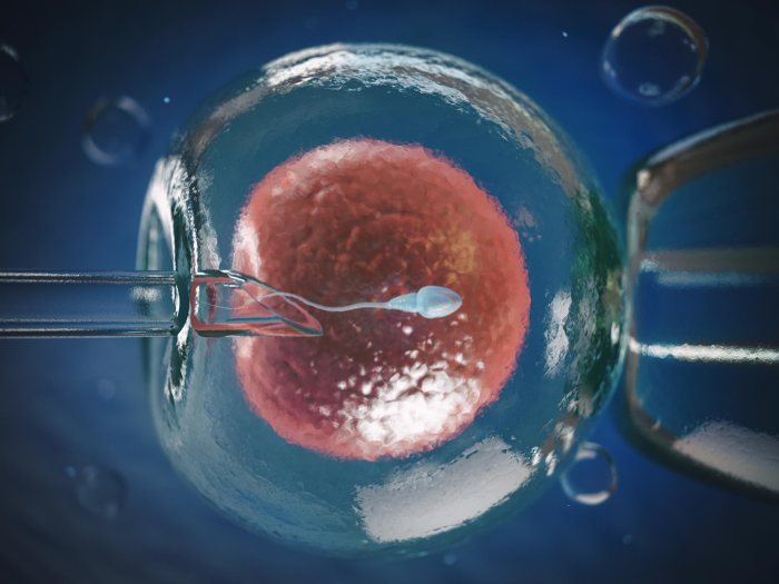 bayi tabung proses inseminasi secara buatan determination usia faktor ivf perkembangbiakan sel pemindahan prosesnya ovulasi mengendalikan ovarium telur pembuahan terdiri