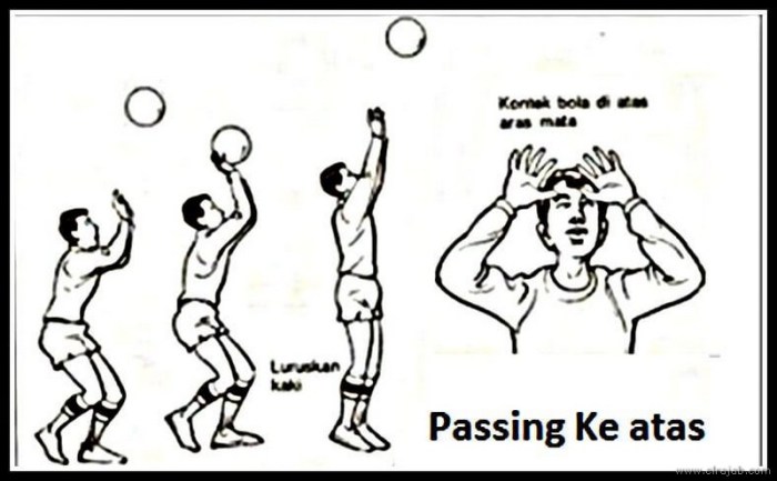 passing bawah atas voli bola dan dalam tutorial
