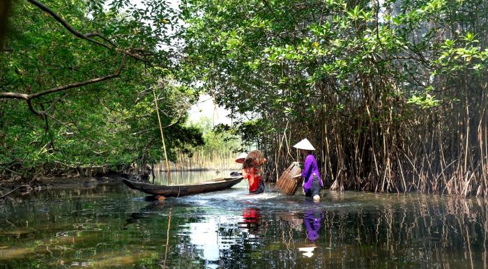 apa saja yang dapat merusak pertumbuhan dan kelestarian hutan bakau terbaru