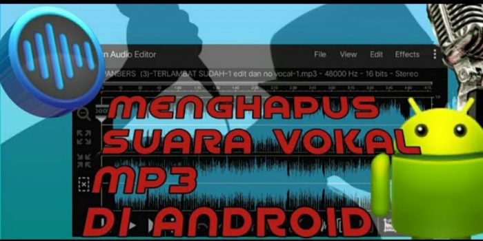 aplikasi penghilang suara vokal android