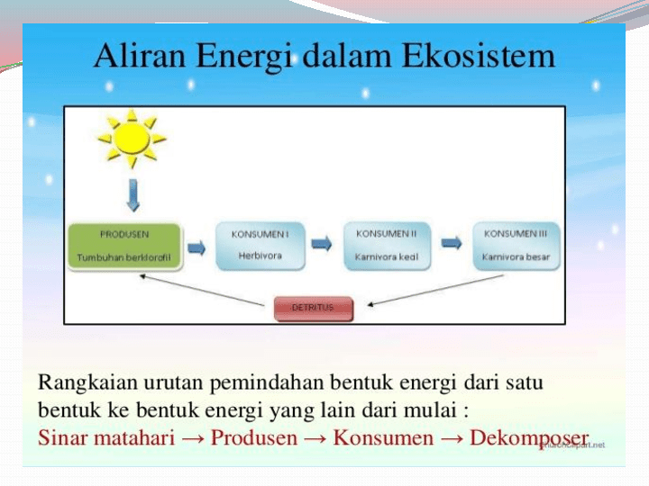 aliran energi di dalam ekosistem terjadi dari
