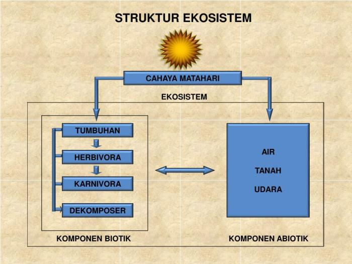 apa itu ekosistem