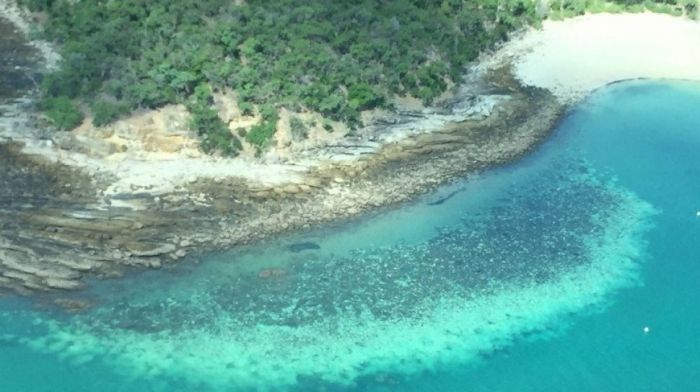australia memiliki sistem terumbu karang terbesar di dunia yang bernama terbaru