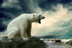 Pokok pikiran paragraf 3 beruang kutub terancam kehilangan habitat