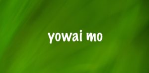 Yowai mo artinya