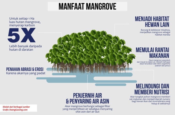 mangrove hutan fungsi pengertian